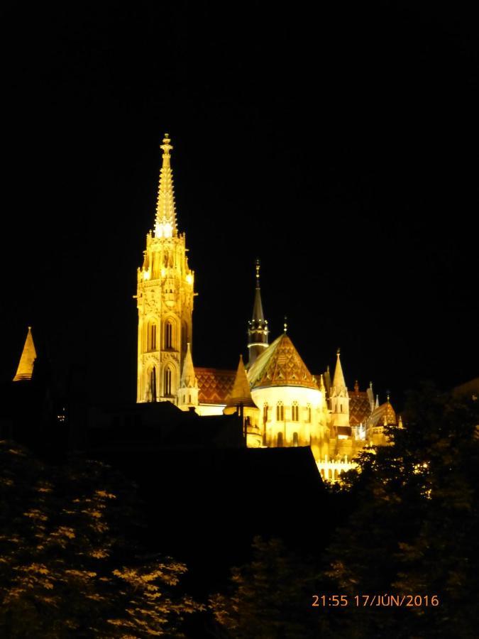 Elegant Apartment With Buda Castle View Boedapest Buitenkant foto